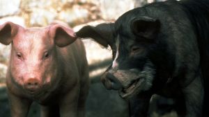 Animal Farm's poster