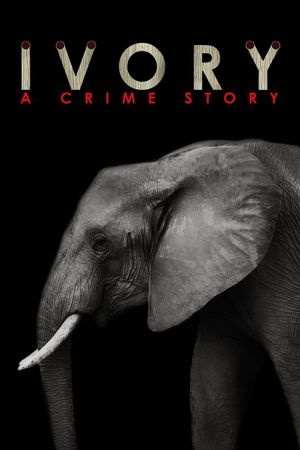 Ivory. A Crime Story's poster