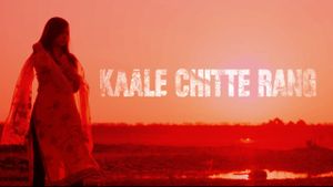 Kaale Chitte Rang's poster