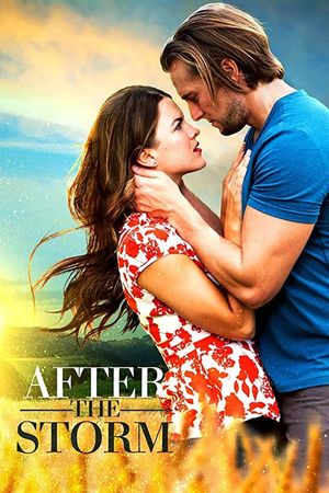 After the Storm's poster