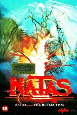 Natas: The Reflection's poster