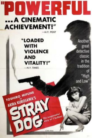 Stray Dog's poster