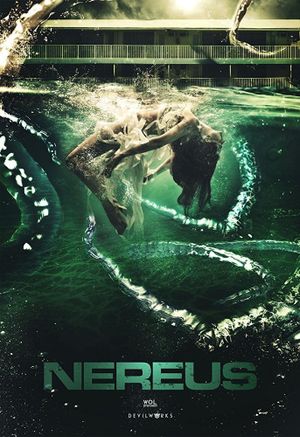 Drowning Echo's poster