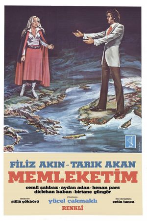 Memleketim's poster
