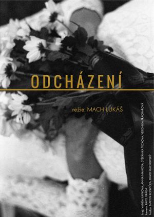 Odcházení's poster