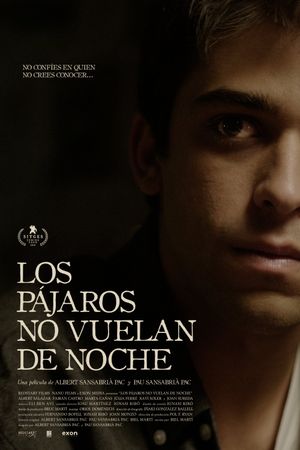 Los pájaros no vuelan de noche's poster