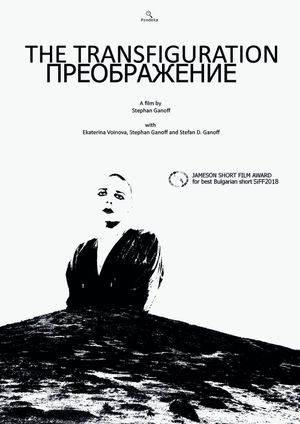 The  Transfiguration's poster