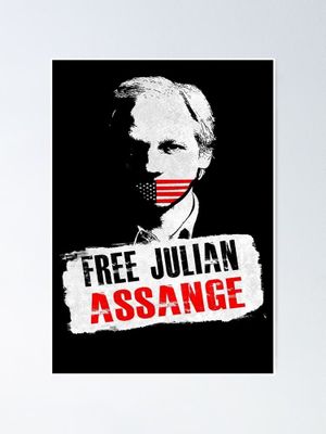 Julian Assange: Chronik einer Spionageaffäre's poster