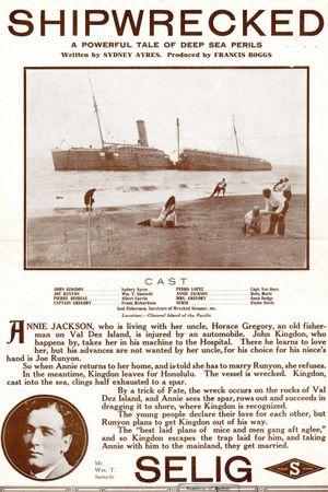 Shipwrecked's poster