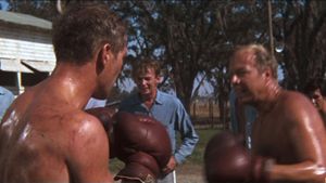 Cool Hand Luke's poster