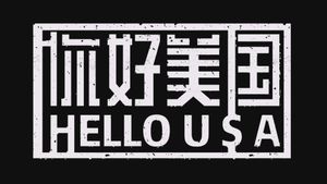 美洲大宝荐：你好美国's poster