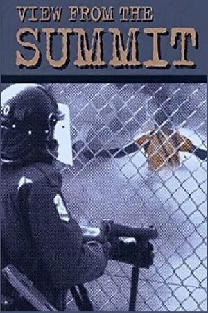 View from the Summit's poster