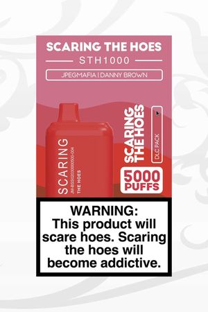 SCARING THE HOES: DLC Pack's poster