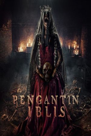 The Demon's Bride's poster