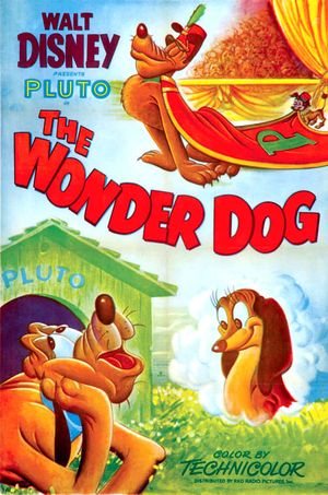Wonder Dog's poster
