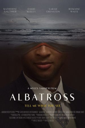 Albatross's poster