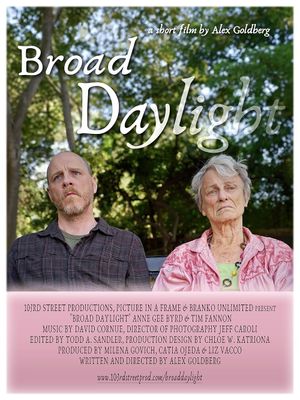 Broad Daylight's poster