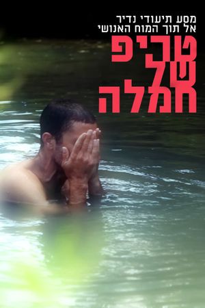 Trip of Compassion's poster
