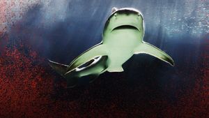 Raging Bull Shark's poster