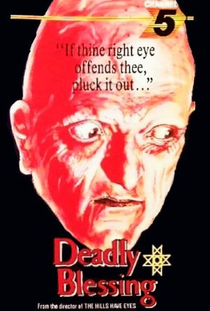 Deadly Blessing's poster
