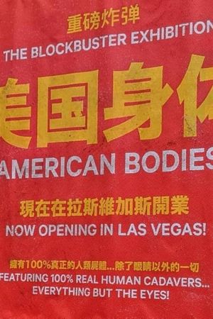 American Bodies's poster