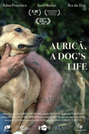 Aurica, a Dog's Life's poster