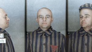 Infiltré à Auschwitz's poster