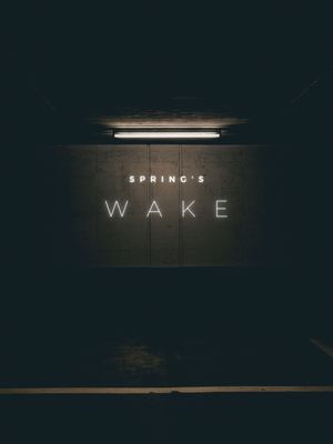 Spring's Wake's poster