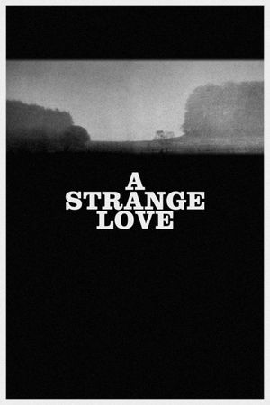 A Strange Romance's poster