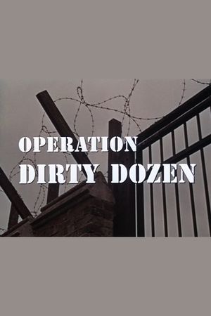 Operation Dirty Dozen's poster