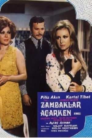 Zambaklar Acarken's poster