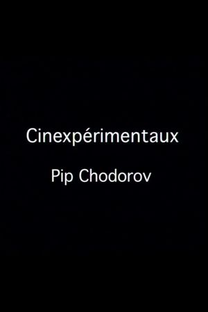 Cinexpérimentaux #4: Pip Chodorov's poster