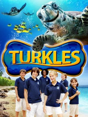 Turkles's poster