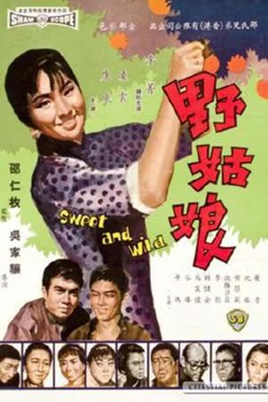 Ye gu niang's poster