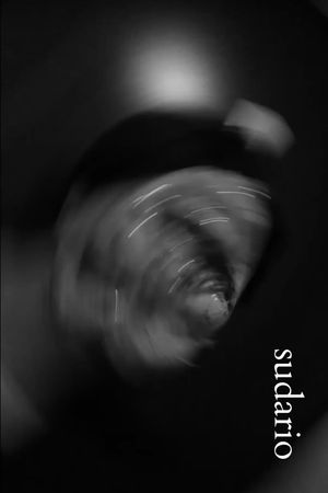 Sudario's poster