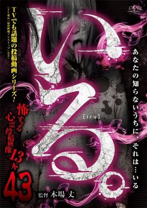 「Iru.」~ Kowasugiru Tōkō Eizō 13-hon ~ Vol.43's poster
