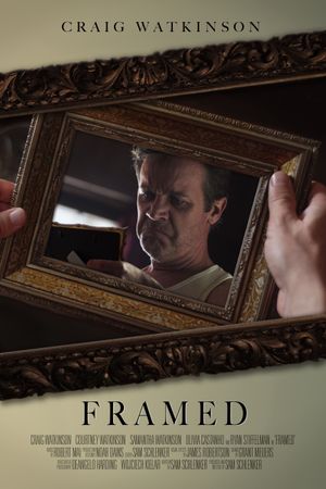 Framed's poster image