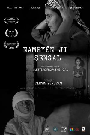 Letters from Shengal's poster image