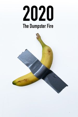 2020: The Dumpster Fire's poster