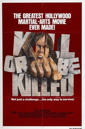 Karate Killer's poster