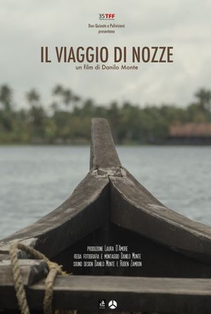 Il viaggio di nozze's poster