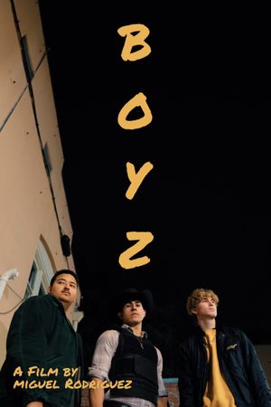 Boyz's poster