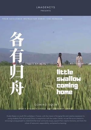 Little Swallow Coming Home's poster image