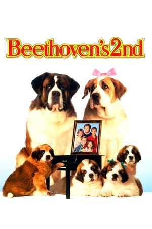 Beethoven's 2nd's poster