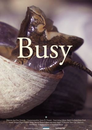 Busy's poster image