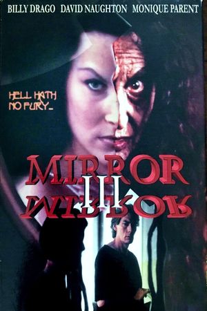 Mirror Mirror 3: The Voyeur's poster