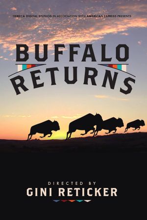 Buffalo Returns's poster