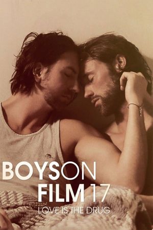 Boys on Film 17: Love Is the Drug's poster