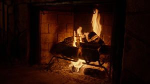 Adult Swim Yule Log's poster