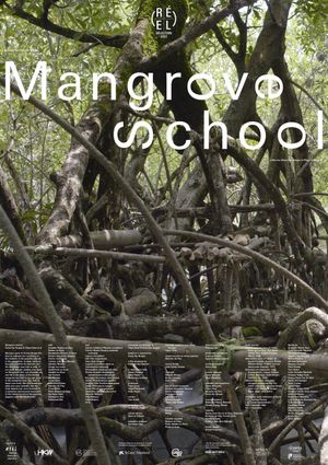 Mangrove School's poster